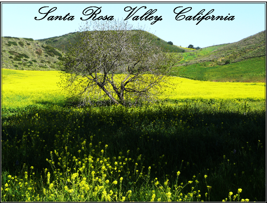 Santa Rosa Valley, California