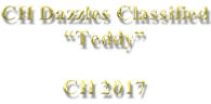 CH Dazzles Classified “Teddy”  CH 2017