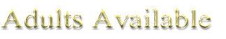 Adults Available