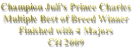 Champion Juli’s Prince Charles Multiple Best of Breed Winner Finished with 4 Majors CH 2009