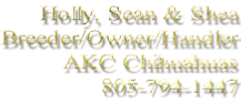 Holly, Sean & Shea Breeder/Owner/Handler AKC Chihuahuas 805-794-1447