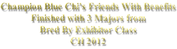 Champion Blue Chi’s Friends With Benefits Finished with 3 Majors from  Bred By Exhibitor Class CH 2012