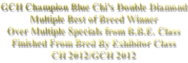 GCH Champion Blue Chi’s Double Diamond Multiple Best of Breed Winner Over Multiple Specials from B.B.E. Class Finished From Bred By Exhibitor Class CH 2012/GCH 2012
