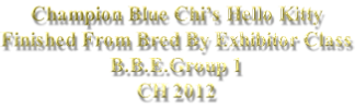 Champion Blue Chi’s Hello Kitty Finished From Bred By Exhibitor Class B.B.E.Group 1 CH 2012